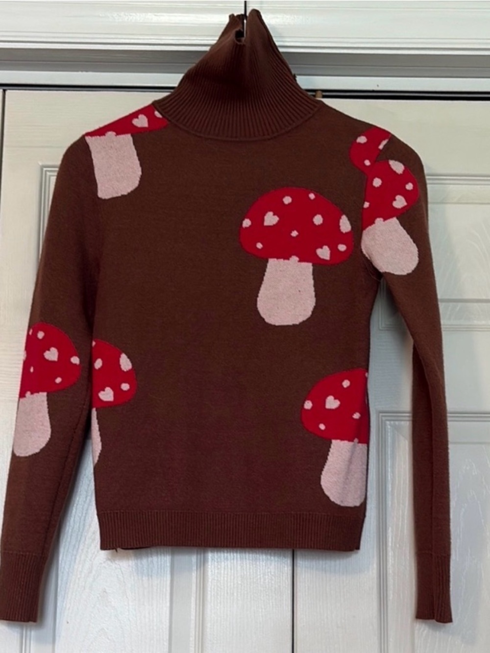Cider Brown Turtleneck Sweater with Red & Pink Mushroom Motif